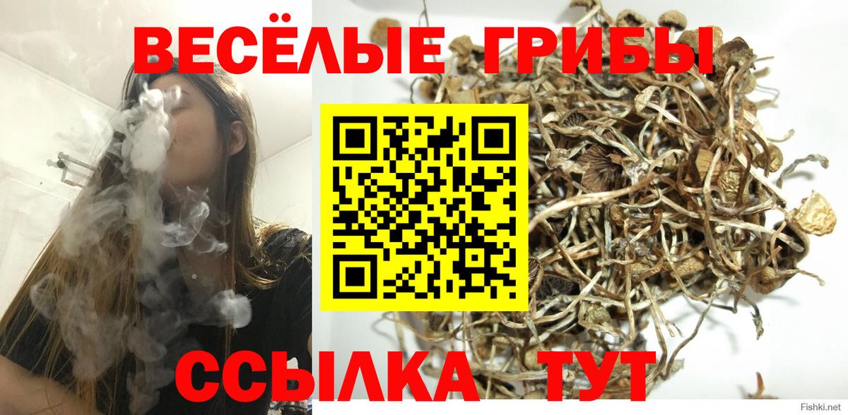 Псилоцибиновые грибы Psilocybine cubensis  Вход с VPN  Первоуральск  Псилоцибиновые грибы Psilocybine cubensis 